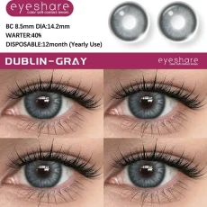 EYESHARE Dublin Gray Premium Fashion Color Lens | Lomofei