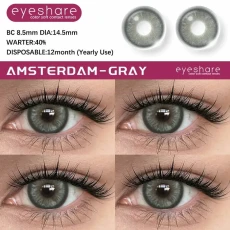Eyeshare Amsterdam Gray Soft Contact Lens